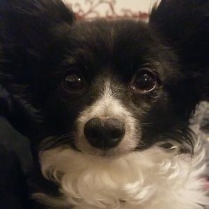 Meet your Posher, Celena